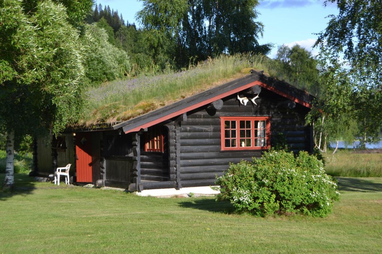 ホテル Morgedal Lavvo Camping エクステリア 写真